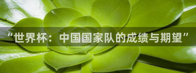 世界杯决赛直播：“世界杯：中国国家队的成绩与期望”