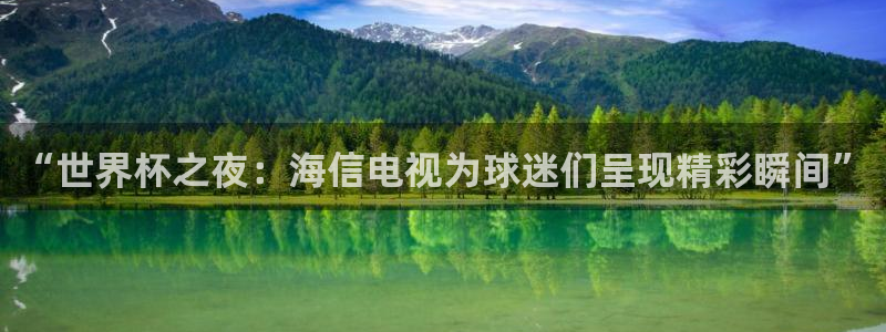 世界杯足球赛：“世界杯之夜：海信电视为球迷们呈现精彩瞬间”
