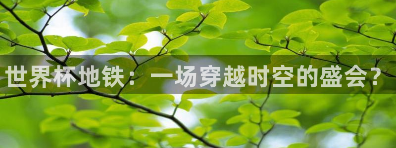 世界杯预选赛排名：世界杯地铁：一场穿越时空的盛会？