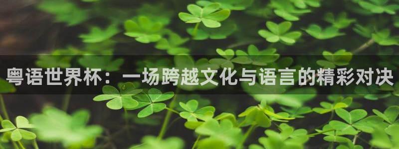 世预赛欧洲赛程表：粤语世界杯：一场跨越文化与语言的精彩对决