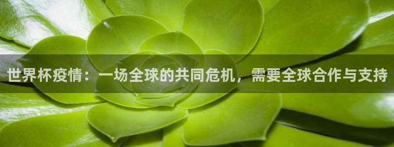 世界杯赛程时间表：世界杯疫情：一场全球的共同危机，需要全球合作与支持