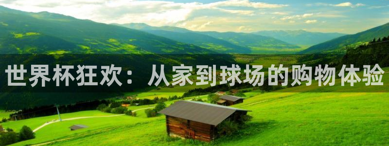 国际足联世界杯：世界杯狂欢：从家到球场的购物体验