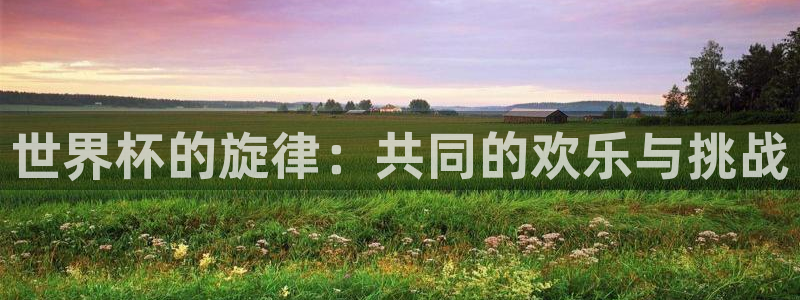 2026世界杯赛程：世界杯的旋律：共同的欢乐与挑战