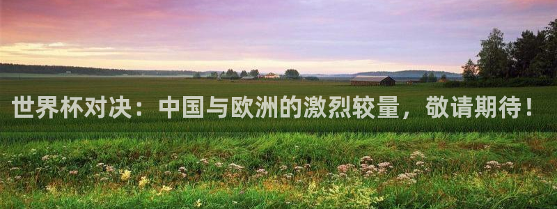 世界杯比赛：世界杯对决：中国与欧洲的激烈较量，敬请期待！