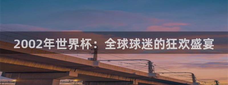 2006年世界杯冠军：2002年世界杯：全球球迷的狂欢盛宴