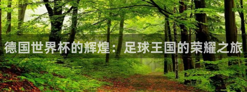 2026世界杯亚洲预选赛赛程：德国世界杯的辉煌：足球王国的荣耀之旅