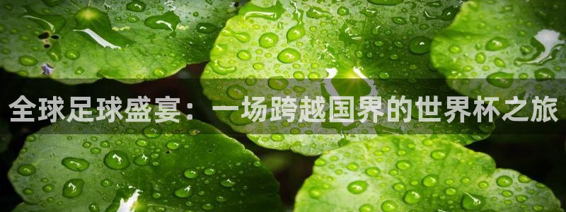 世界杯比赛直播：全球足球盛宴：一场跨越国界的世界杯之旅