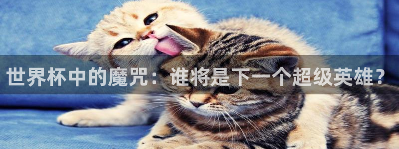 2026世界杯直播免费观看：世界杯中的魔咒：谁将是下一个超级英雄？