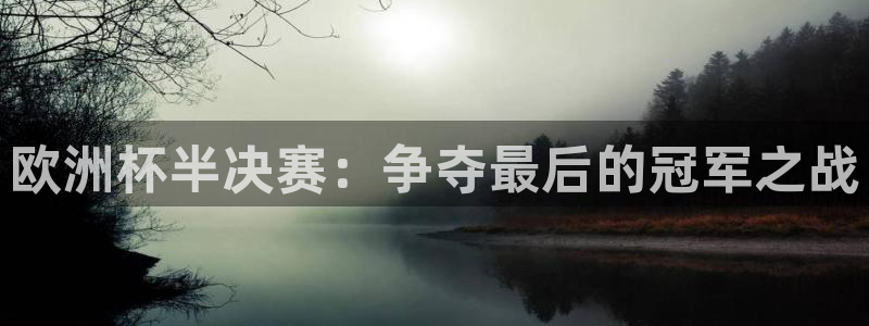 世界杯直播平台：欧洲杯半决赛：争夺最后的冠军之战