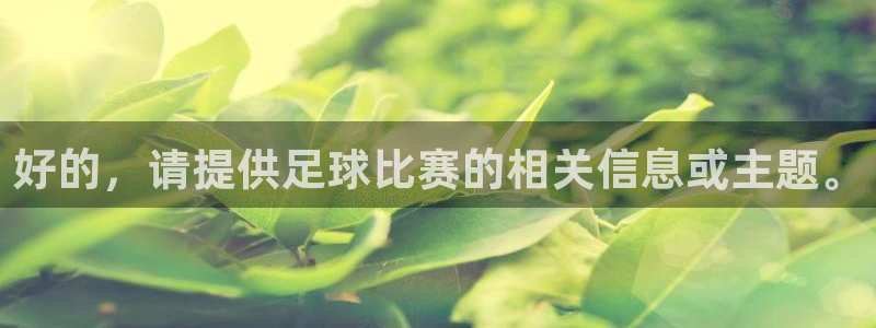 2026世界杯官网入口：好的，请提供足球比赛的相关信息或主题。