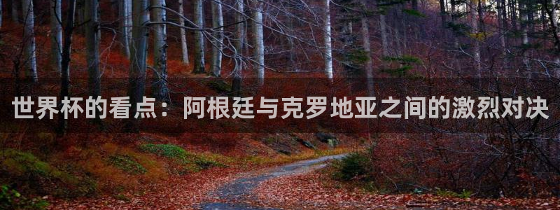 免费看足球直播比赛：世界杯的看点：阿根廷与克罗地亚之间的激烈对决