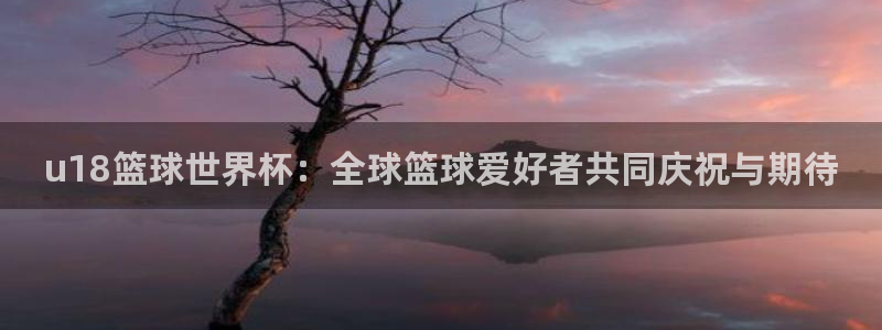 2026世界杯南美区积分榜：u18篮球世界杯：全球篮球爱好者共同庆祝与期待