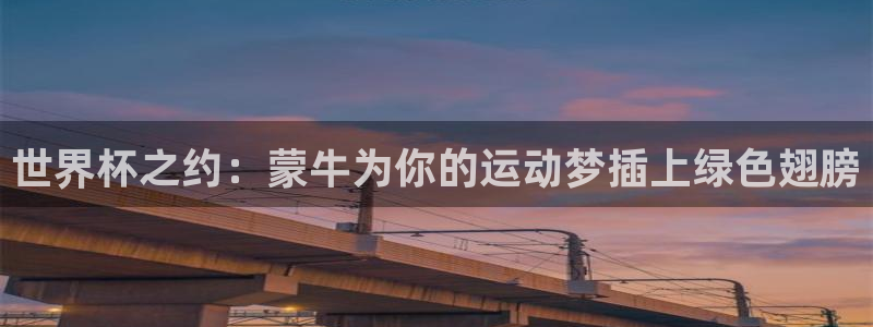 世界杯预选赛欧洲区赛程:世界杯之约:蒙牛为你的运动梦插上绿色翅膀