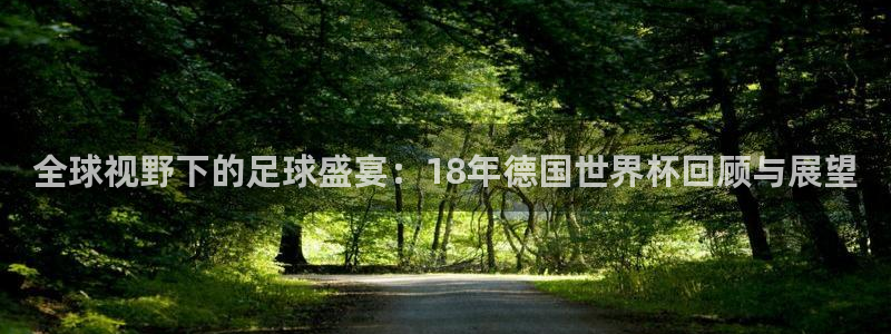 2026葡萄牙杯赛程表：全球视野下的足球盛宴：18年德国世界杯回顾与展望