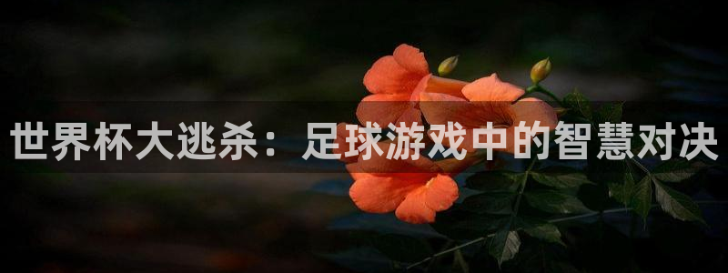 2026世亚预赛赛程表：世界杯大逃杀：足球游戏中的智慧对决